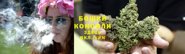 мяу мяу мука Ельня